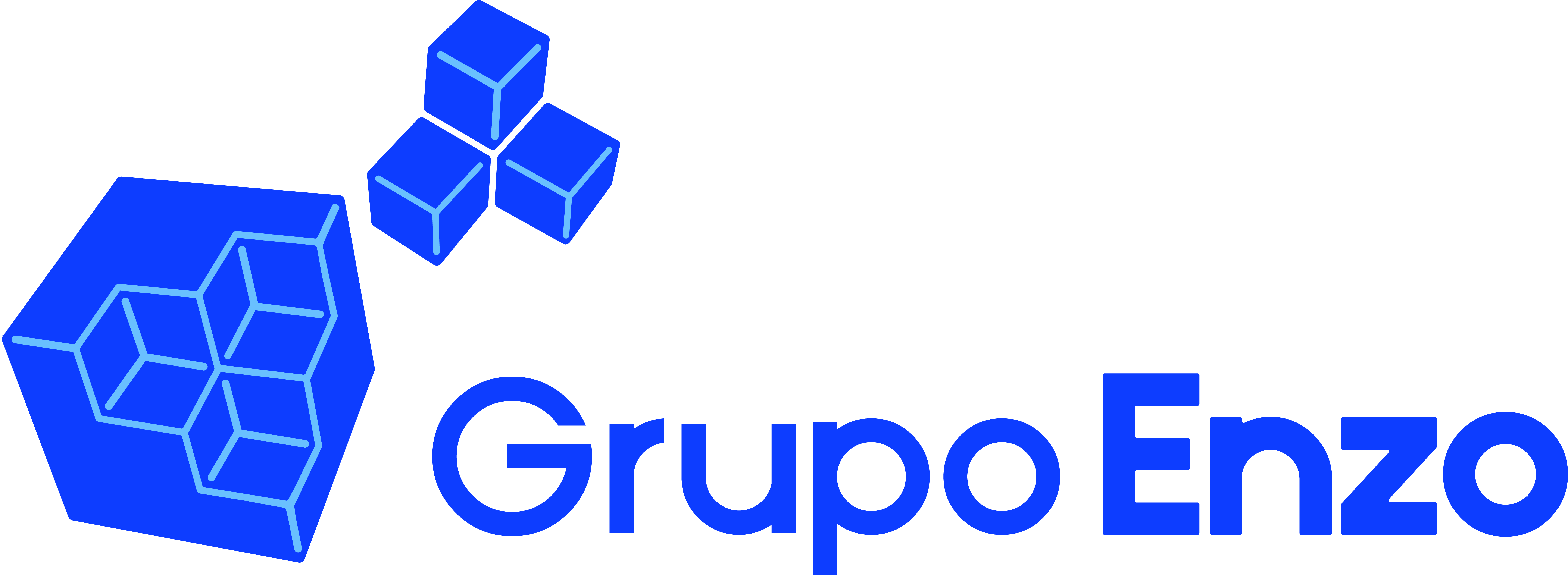 logo da empresa Grupo Enzo