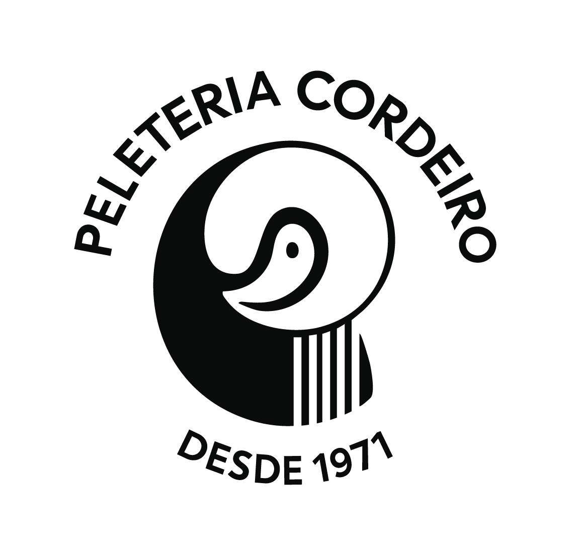 logo da empresa CDL Caxias