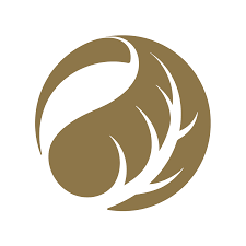 logo da empresa HUGO PIETRO